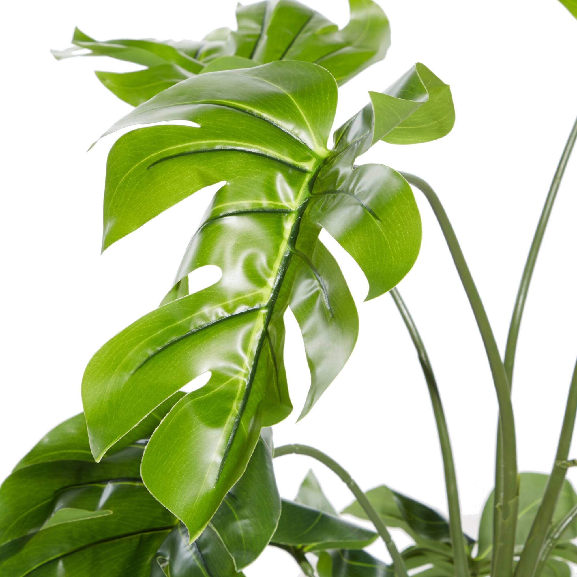 4.5ft. Potted Monstera Plant